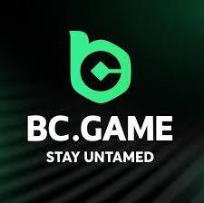 Ultimate Guide on How to Play BC.Game Poker
