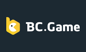 A Comprehensive Overview of BC.Game Platform