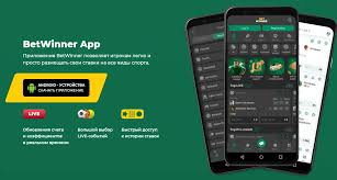 BetWinner Online Bookmaker Your Gateway to Exciting Betting Opportunities