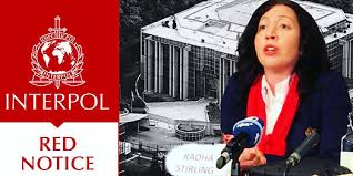 Understanding the Role of Interpol Defense Lawyers 1341585973 Understanding the Role of Interpol Defense Lawyers 1341585973