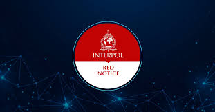 Understanding the Role of Interpol Defense Lawyers 1342887098 Understanding the Role of Interpol Defense Lawyers 1342887098