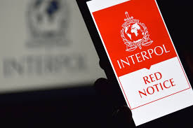 Understanding the Role of Interpol Defense Lawyers 1343911082
