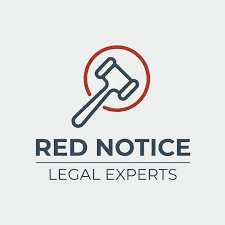 Understanding the Role of Interpol Defense Lawyers 1343911082