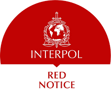 Understanding the Role of Interpol Defense Lawyers 1343911082